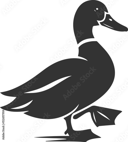 Bird silhouette of a duck vector illustration