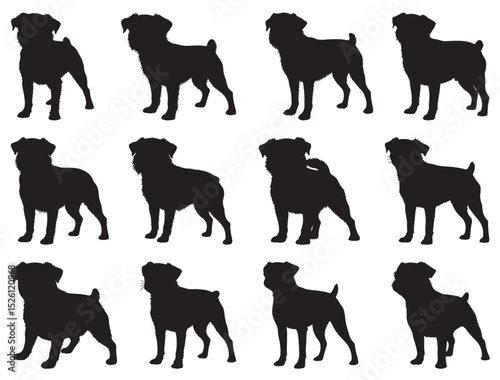 BRUSSELS GRIFFON DOG SILHOUETTE