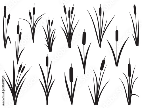 CATTAIL SILHOUETTE