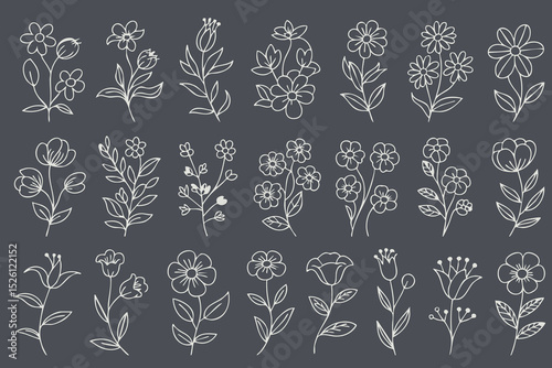 Delicate floral illustrations in variety of styles, featuring hand drawn flowers and leaves on dark background, evoke sense of elegance and nature