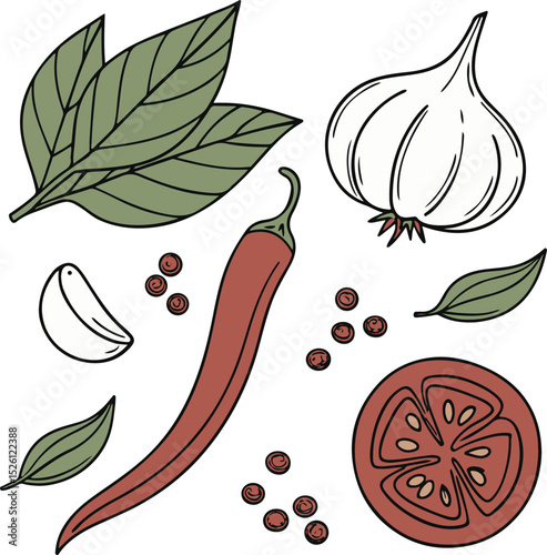 Hand-Drawn Culinary Herbs and Ingredients Illustration – Garlic, Chili, Basil, and Tomato