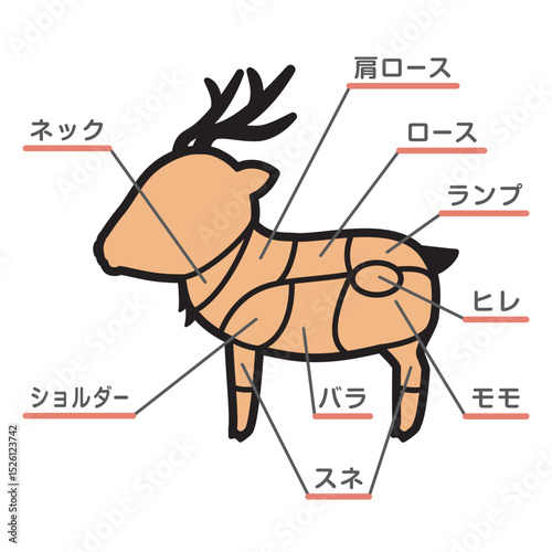 鹿肉の部位のイラスト　文字あり