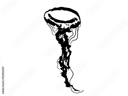  hand drawn illustration of Jelly Fish on isolated background in outline style. Drawing of sea animal. Engraving of undersea fish painted by black ink for icon or logo. Linear sketch