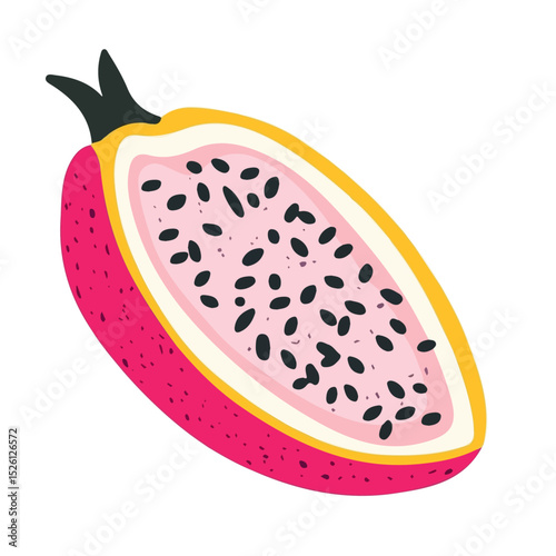 Dragon Fruit Slice illustration vector 2D flat, isolated on a white background.