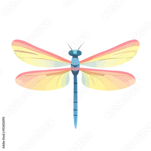 2D flat Dragonfly vector illustration, isolated on a white background.