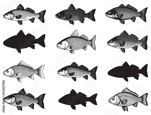REDFISH SILHOUETTE WHITE BACKGROUND