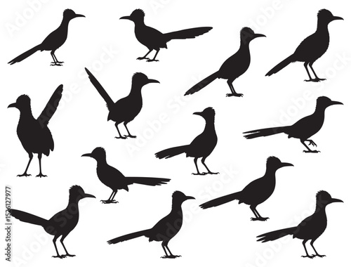 ROAD RUNNER BIRD SILHOUETTE