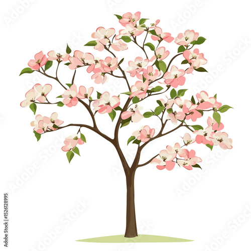 2D flat Dogwood Tree Gentle Light vector illustration, isolated on a white background.