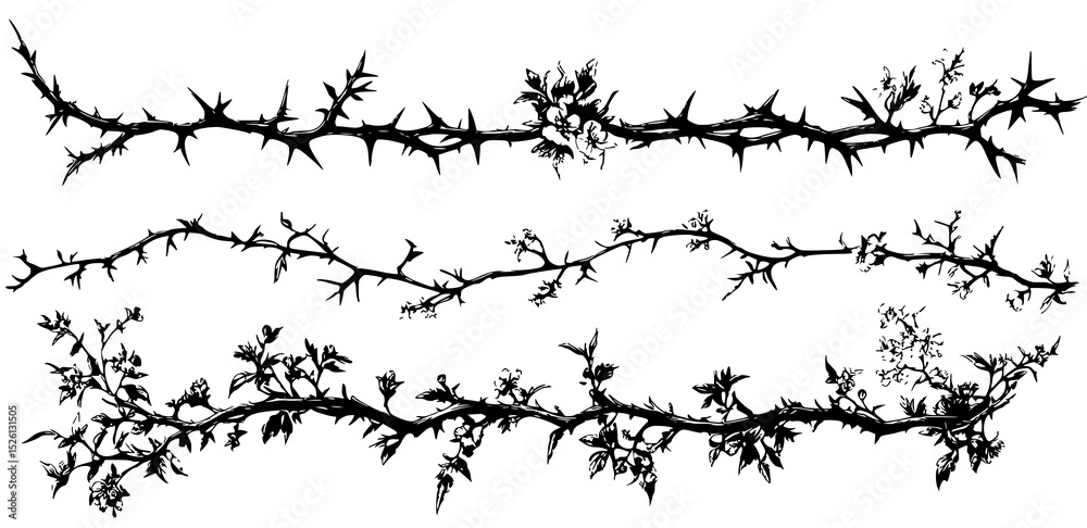 Black and white thorny branches with flowers