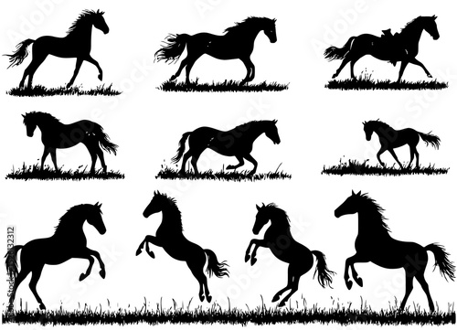 horse silhouettes in various poses on grass field