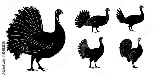 Silhouettes of turkeys in various poses