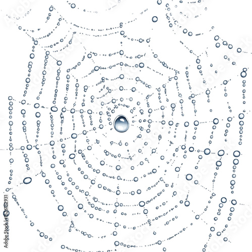 2D flat Dew On Spider Web Strands vector illustration, isolated on a white background.