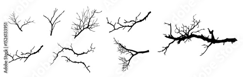 Collection of bare tree branches silhouettes