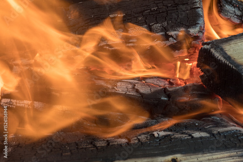fire from burning wood close up