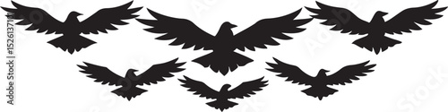 Flying eagle vector illustration with outstretched wings, a majestic silhouette of a bird in flight