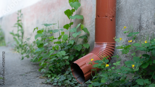 Rainwater drainage pipe surrounded by green plants alongside a gravel pathway in a quiet urban area