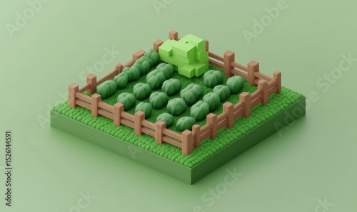 Low-poly cabbage patch, isometric view, green background, farming