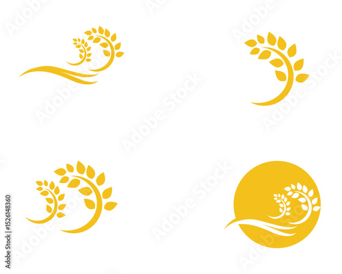 Agriculture wheat vector