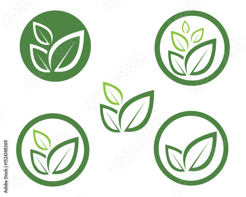 leaf green nature logo and symbol template Vector