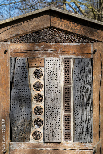 Insektenhotel im Erlenbruchwald, Rheda-Wiedenbrück, Westfalen, Nordrhein-Westfalen, Deutschland, Europa