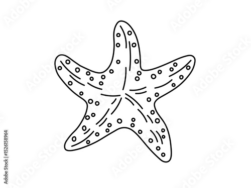 Vector isolated one single simple starfish bottom view  colorless black and white contour line easy drawing