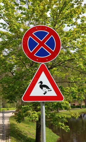 Traffic signs by a riverside path: a no parking symbol above a duck crossing warning, set against a lush green background, alerting drivers to wildlife presence near water.