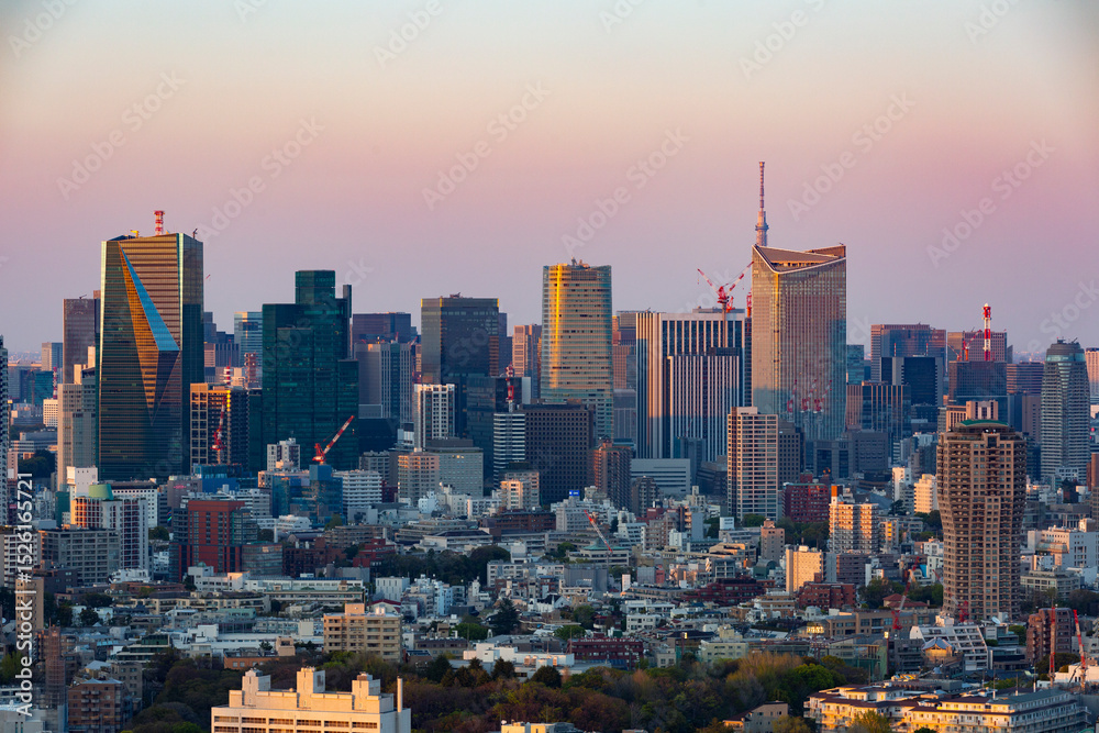 Obraz premium 東京・都市部の夕景