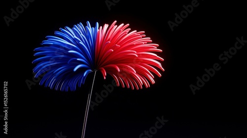 A display of red white and blue fireworks lights up the night sky celebrating a festive occasion. A vibrant pyrotechnic spectacle illuminates the evening atmosphere marking a joyous