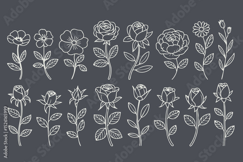 Floral illustrations featuring various flower designs, including roses and daisies, with intricate line art on dark background