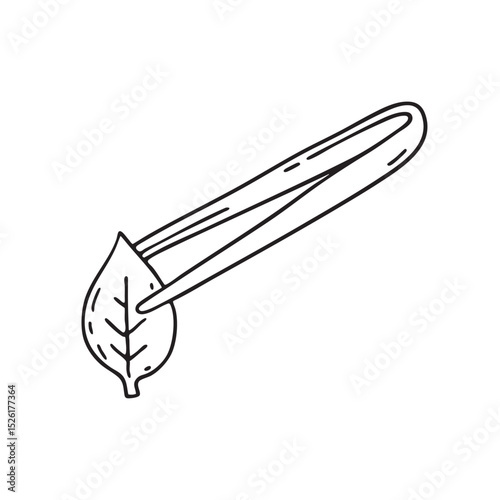 Tweezers holding a leaf tip