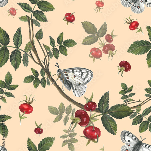Flowers and branches with leaves rose hips and white butterfly apollo. Seamless pattern on a color background for fabric, textile, prints, design