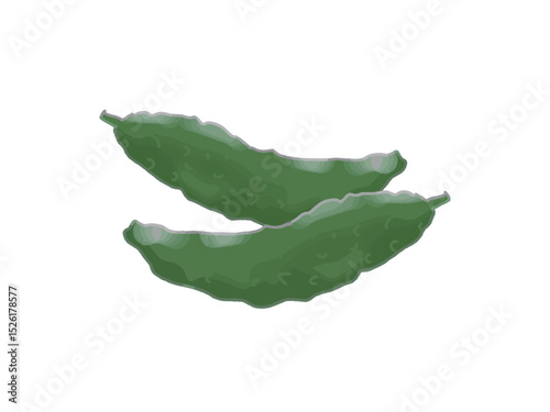 Fresh green bitter melon illustration