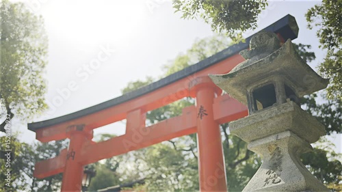 A vibrant red torii gate stands tall against a clear sky, while a stone lantern rests nearby, showcasing traditional architecture. Fushimi Inari, Kyoto, Japan