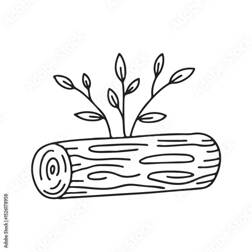 Twigs resting on top of a log