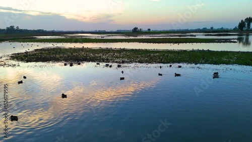 Wallpaper Mural Aerial drone view of wetland magic in the golden hour. Torontodigital.ca