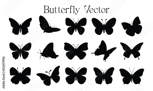 Set of silhouette black butterflies on white background. Vector 