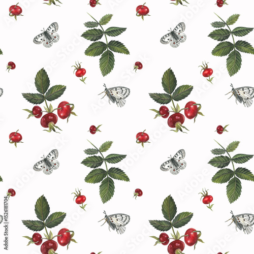 Red berries rose hips and white butterfly apollo isolated on white background handdrawn. Seamless pattern for fabric, textile, prints, design.