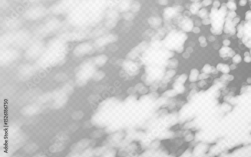 Abstract shadow overlay from tree branch on a transparent background.