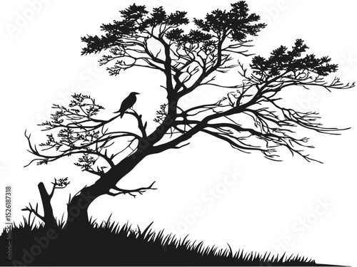Silhouette of a serene tree with a perched bird against a transparent background suitable for design