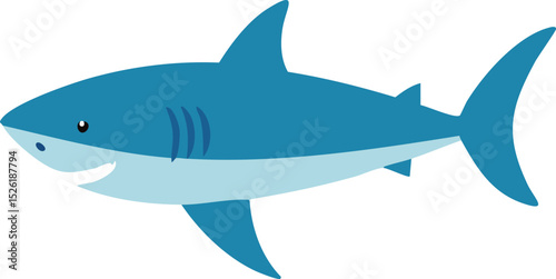 shark vector illustration