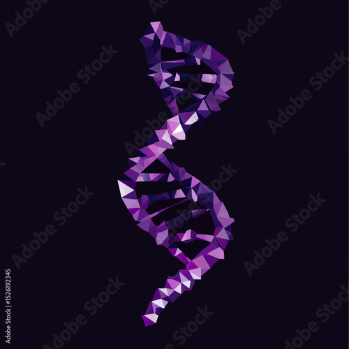 Low poly style DNA double helix structure with geometric purple triangles on dark background for science and genetics concept vector illustration