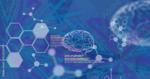 Image of data processing and digital brain over caucasian female scientist