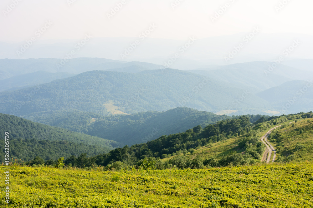 Naklejka premium beautiful view of mountain landscape in summer. green hill rolling in to the distance in evening light