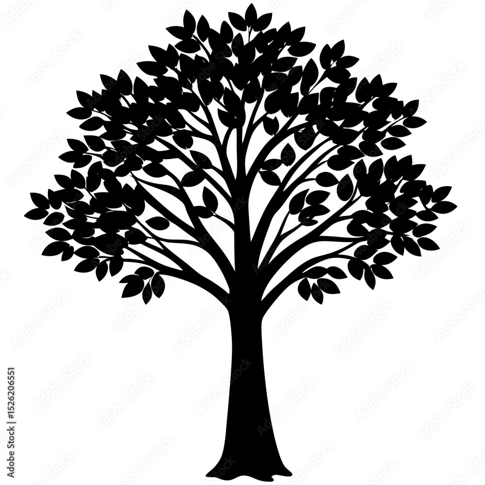 Obraz premium tree silhouette isolated on white