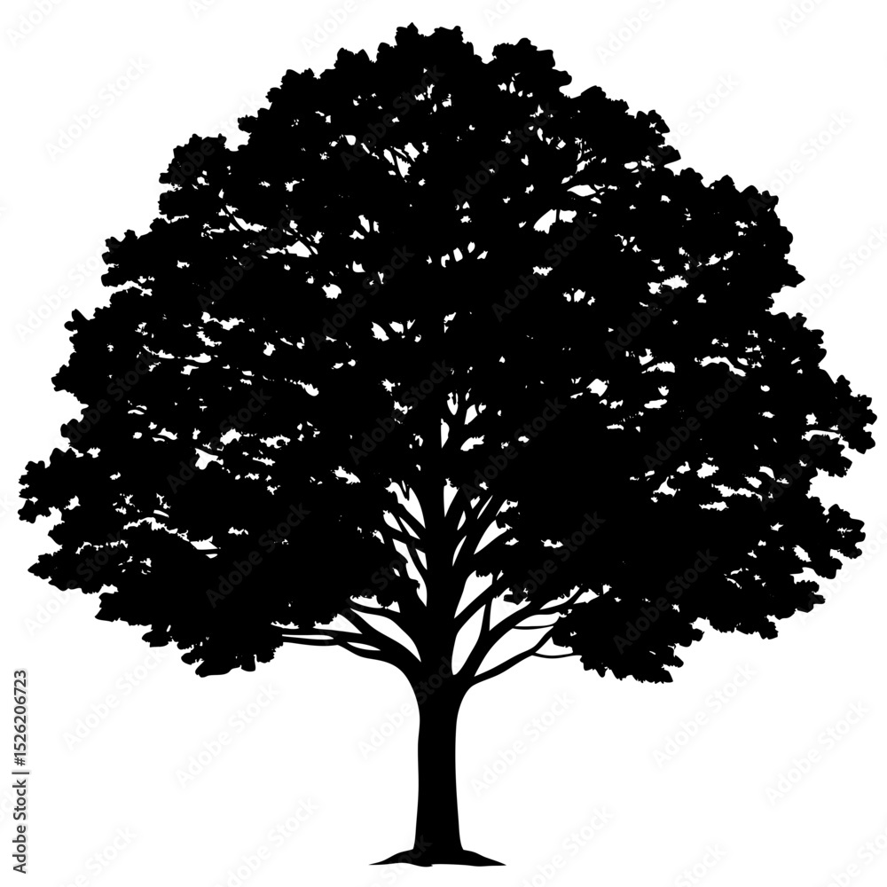 Fototapeta premium silhouette of a tree