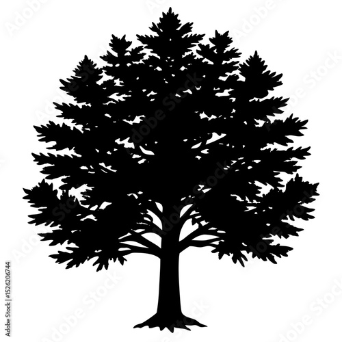 black and white tree