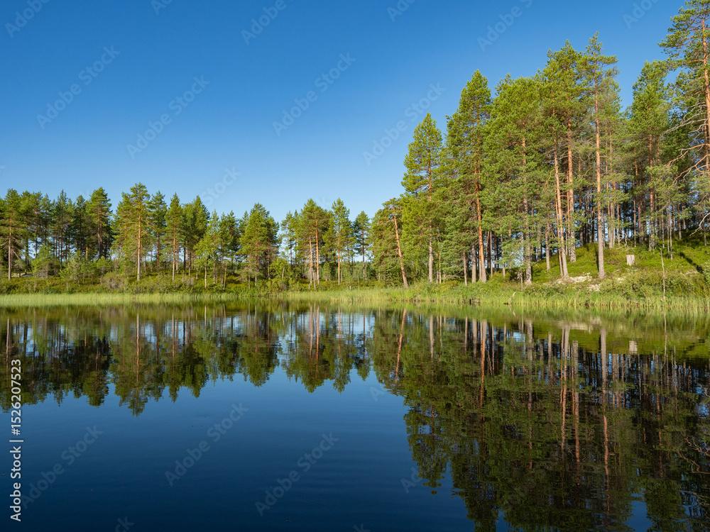 Obraz premium The forest is reflected in the calm water of the lake on a calm summer sunny cloudless day