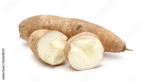 Yucca root 