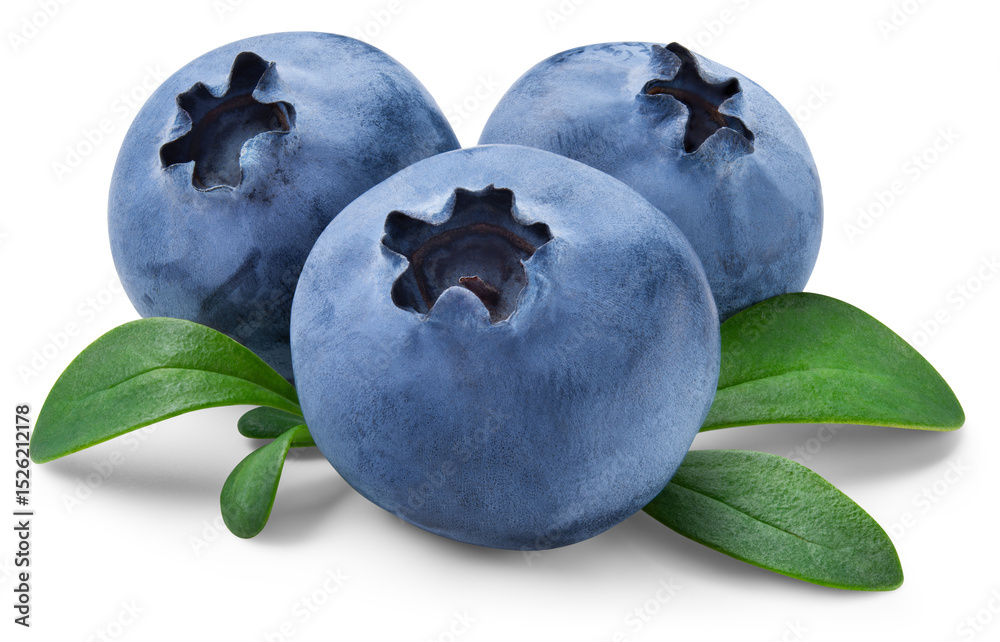 Obraz premium Blueberry isolated png. Blueberry with leaves on transparent background. Perfect retouched three blueberries with leaf no background. Png blueberry with transparent shadow. Full depth of field.