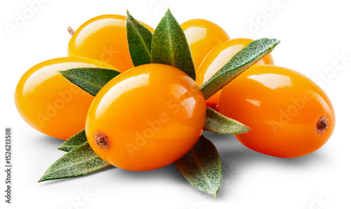 Buckthorn isolated png. Buckthorn heap with leaf on white or transparent background.. Group of seabuckthorn berries with leaves no background. Buckthorn with transparent shadow. Full depth of field.
